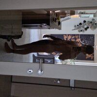 Lolhard3n