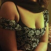 Pari113311