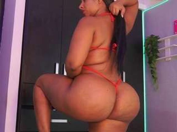 Rox Thee Stallion