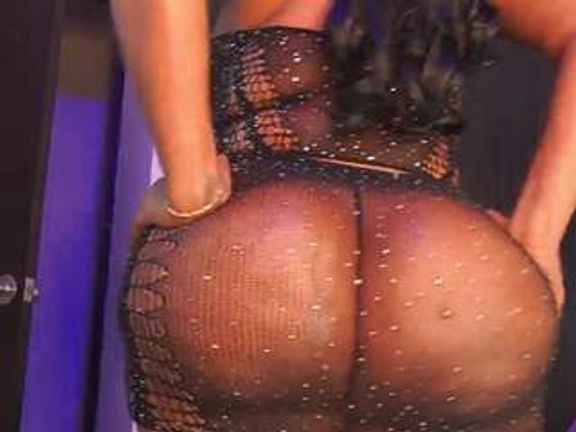 Rox Thee Stallion