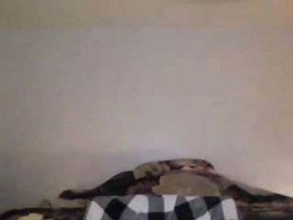 ineedsugar23