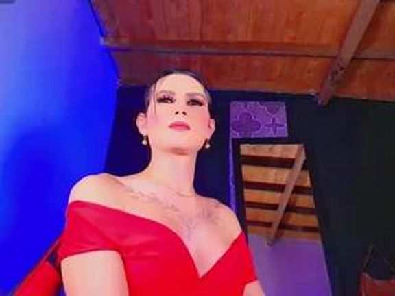 PARADISETRANSS