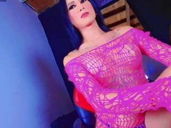PARADISETRANSS