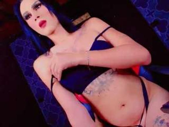 PARADISETRANSS