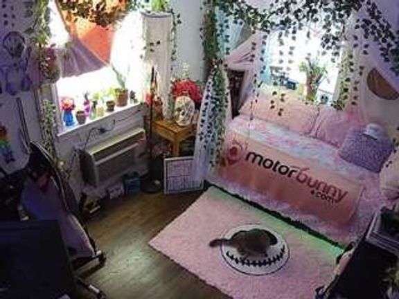 voyeurcam veccasalt 01