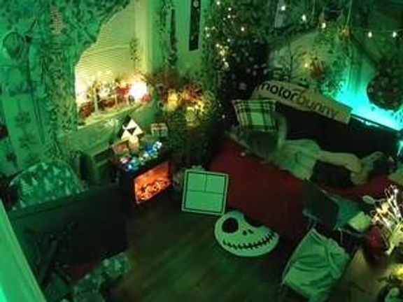 voyeurcam veccasalt 01