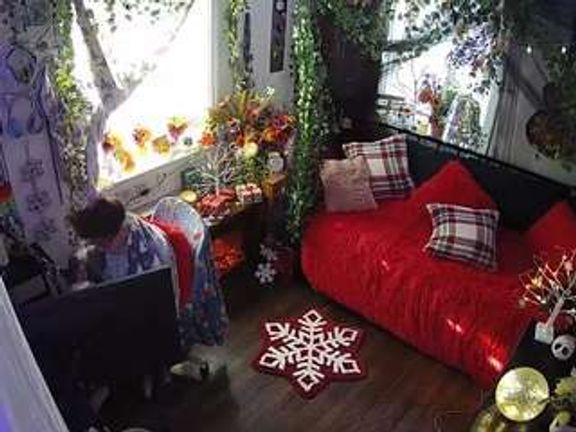 voyeurcam veccasalt 01