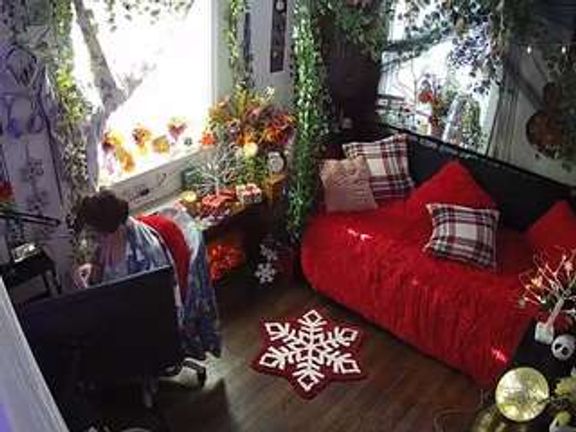 voyeurcam veccasalt 01