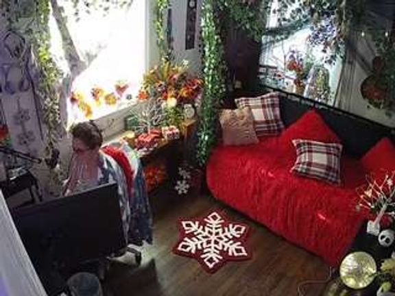 voyeurcam veccasalt 01