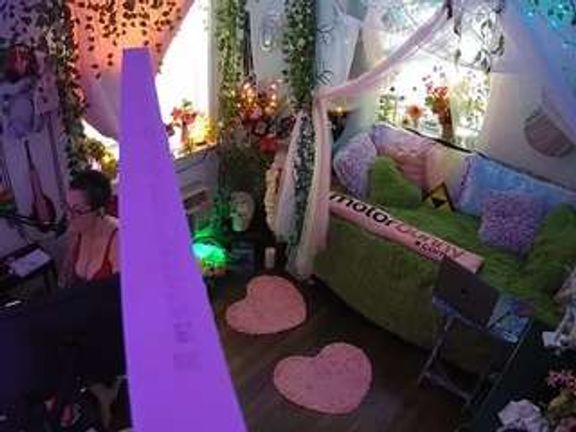 voyeurcam veccasalt 01