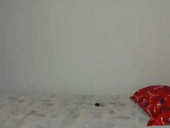 salomeemilf