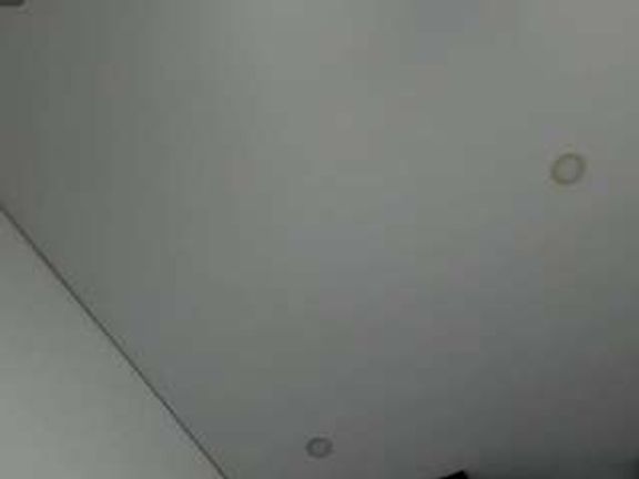 Rabbit_777
