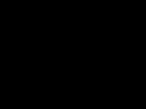 DannaReid