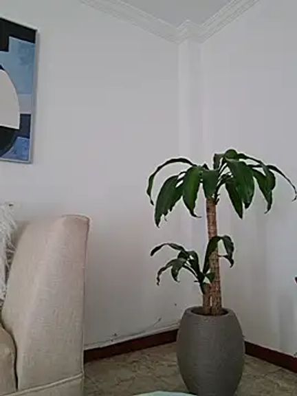 karina_warthon