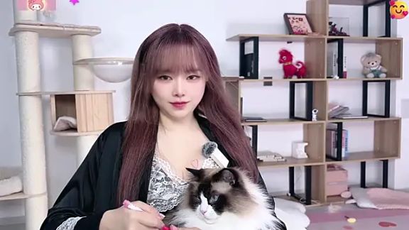 SakuraCat6