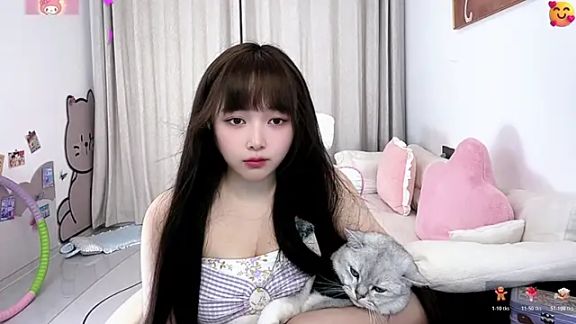 SakuraCat6