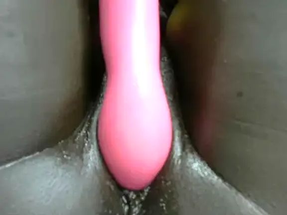 Liza331