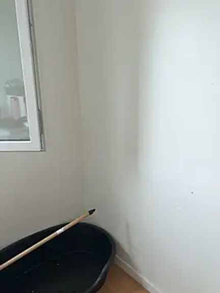 Lacoquinedu636