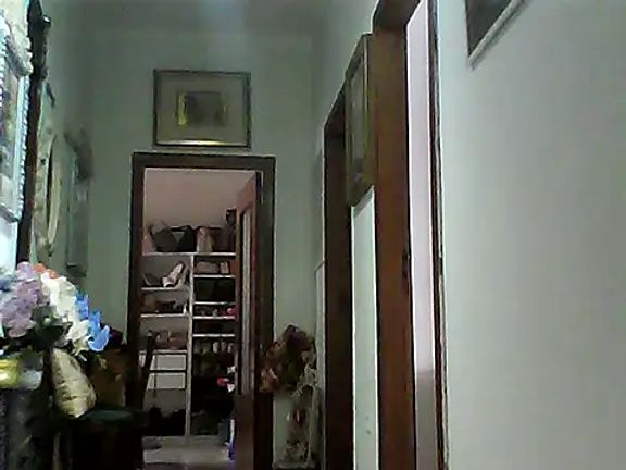 nelly88_xxx