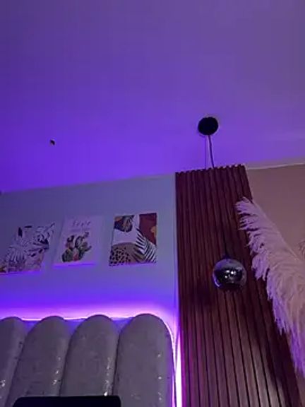 Ambarsexbutler