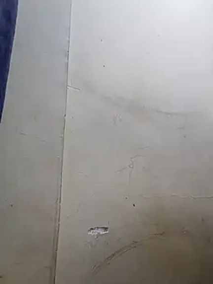 Kavya5500