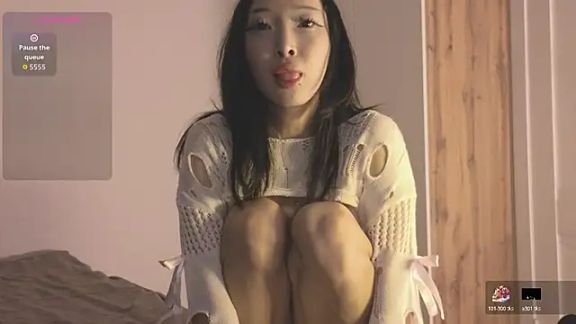fairy_di