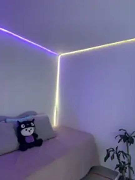 AmmyCollinsW