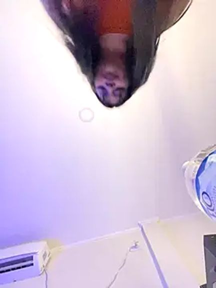 kiarafonseca_