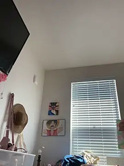 Kaysfatjuicepuss