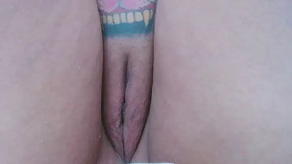 estrellita_fugaz16x