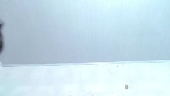 Bruno_Iris_sex