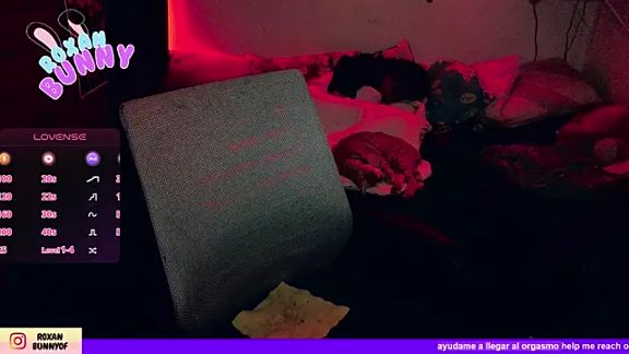 Roxanbunny1