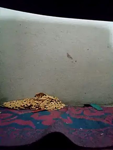 Gautami-telugu