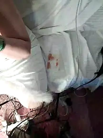 EgyptianMilf1