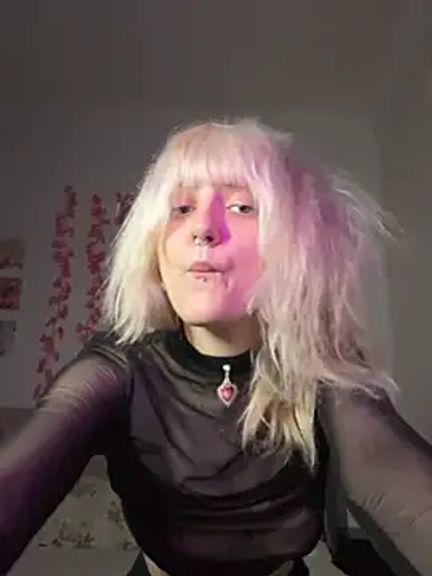 KimiSakura