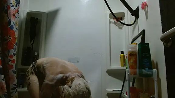 watermellonpussy