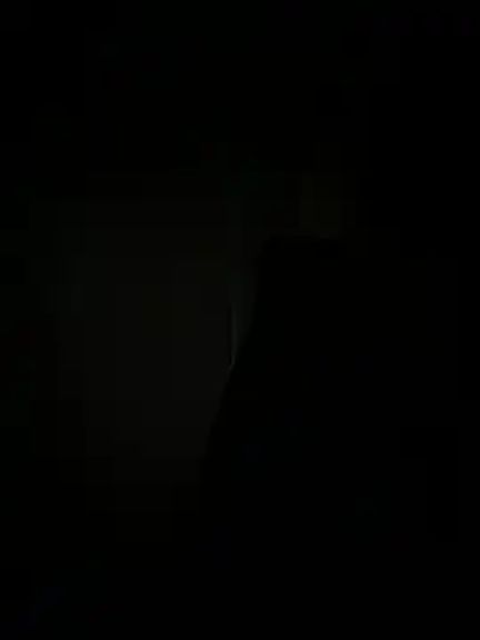 PamelaBliss