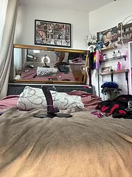 SunshineLexi