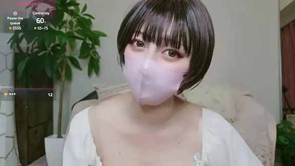 cohaku_329