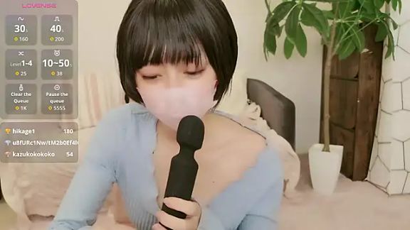 cohaku_329