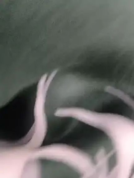 KratosAfroditacs