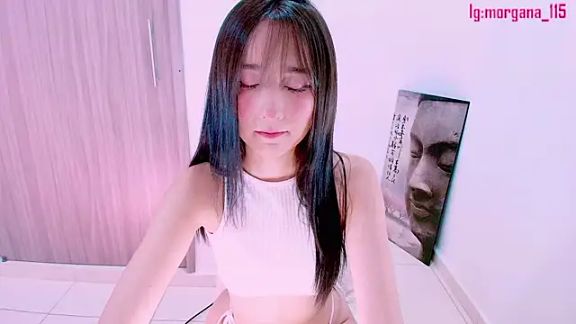Anahimorgan1