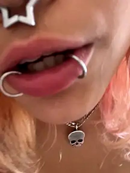 Harley_cams