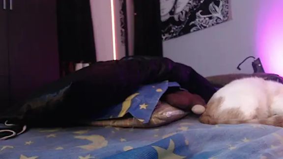 niakat_