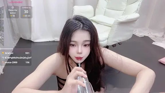 YIZHI_Koala