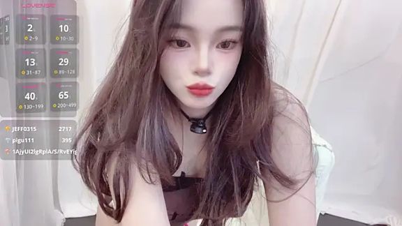 YIZHI_Koala