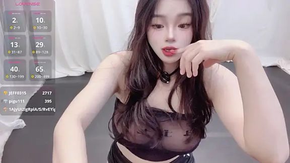 YIZHI_Koala