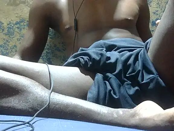 Latinian_cock