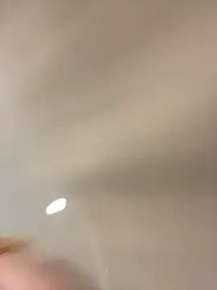 TheGingerBanks
