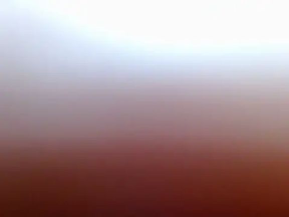 Charu_Rani
